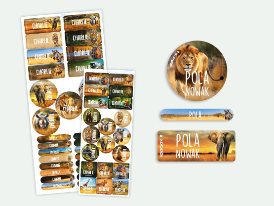 Super zestaw- świat