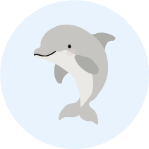 Dolphin