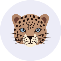 Leopard2