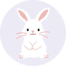 Rabbit-white