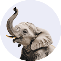 Real Elephant