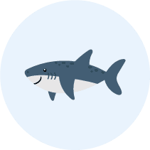 Shark