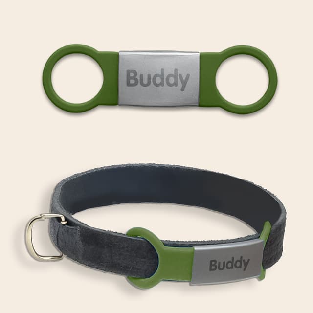 Personalizowany identyfikator dla psów i kotów