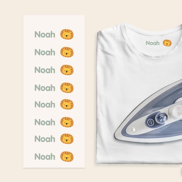 Naprasowanki – Transfer