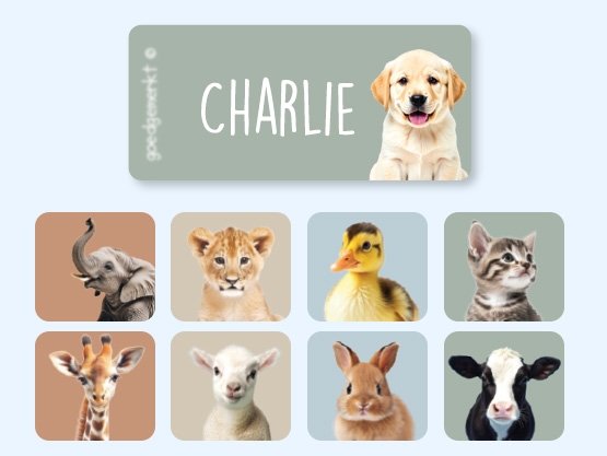 Naklejki na odzież świat