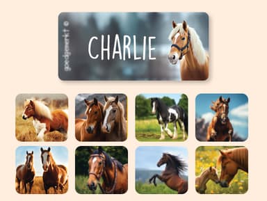 Naklejki na odzież świat