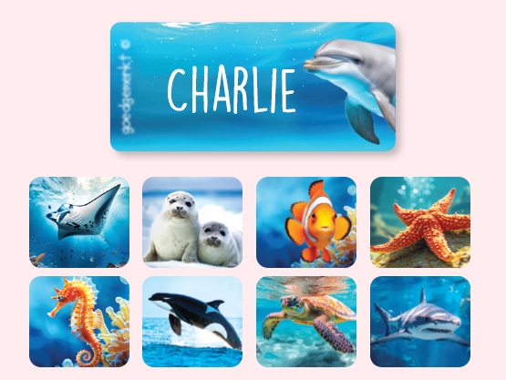 Naklejki na odzież świat