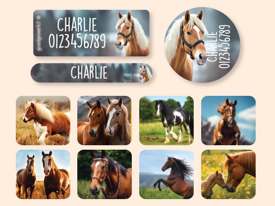 Zestaw naklejek imiennych-świat